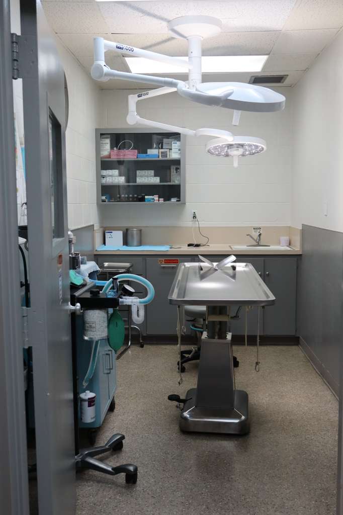 WhatsApp Image 2026-02-07 at 2.50.07 AM