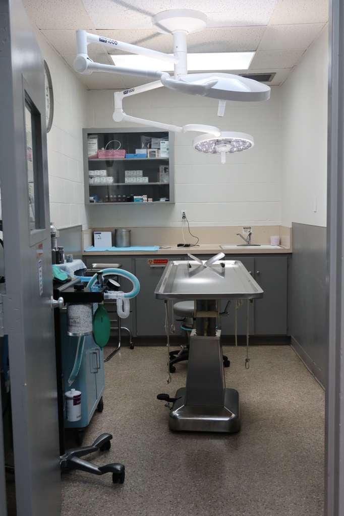 WhatsApp Image 2026-02-07 at 2.50.09 AM (1)