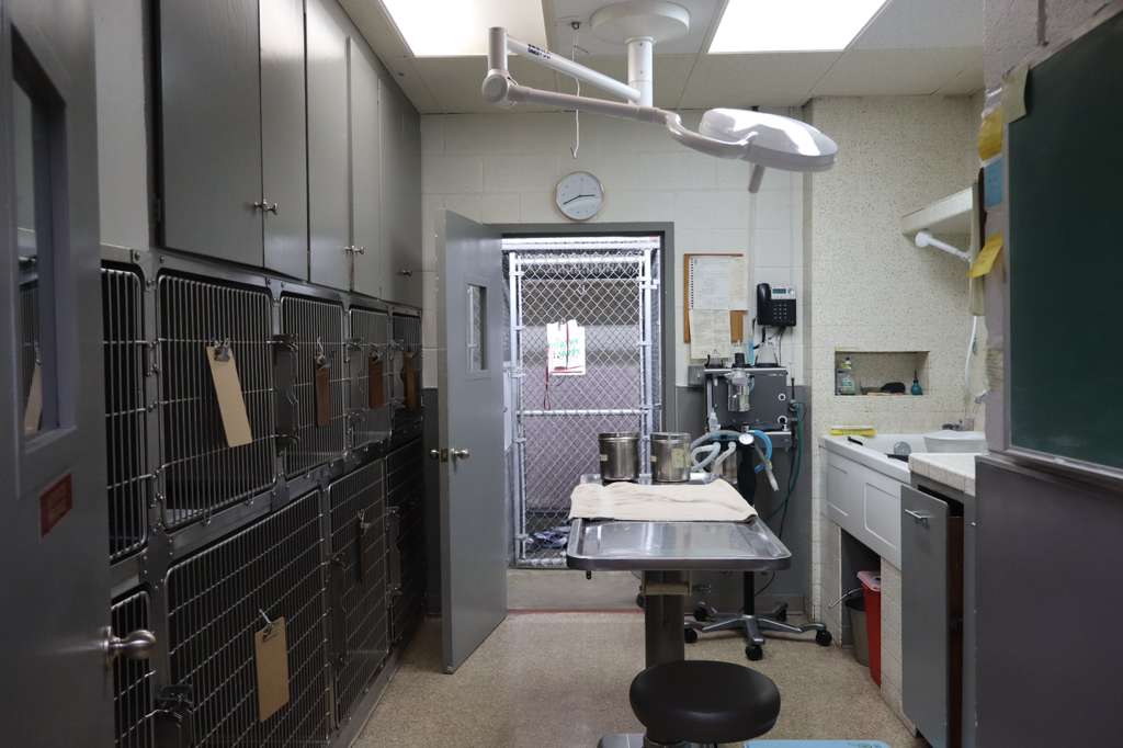 WhatsApp Image 2026-02-07 at 2.50.09 AM (3)