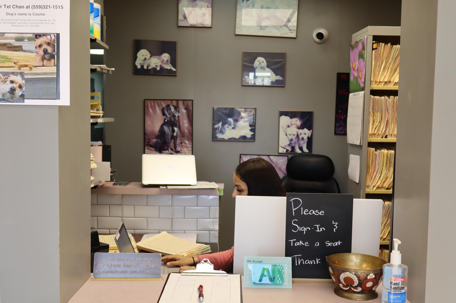 WhatsApp Image 2026-02-07 at 2.50.10 AM