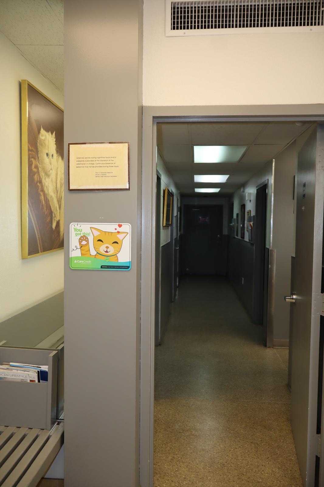 WhatsApp Image 2026-02-07 at 2.50.11 AM (1)