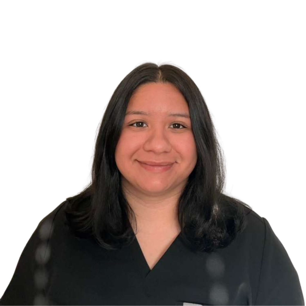 Meet The Team