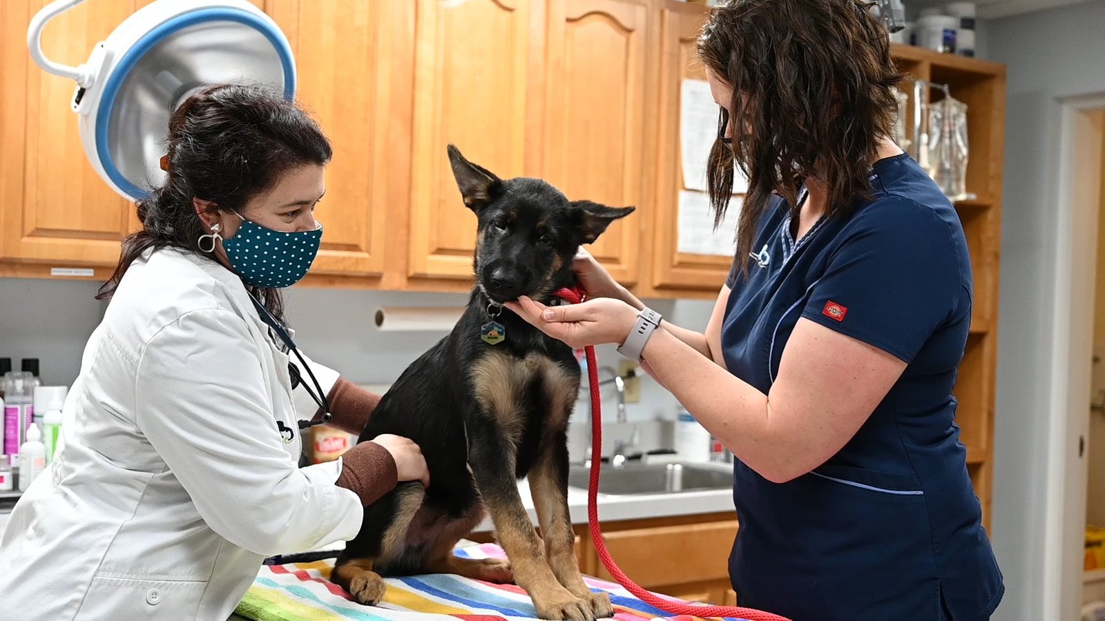 Home